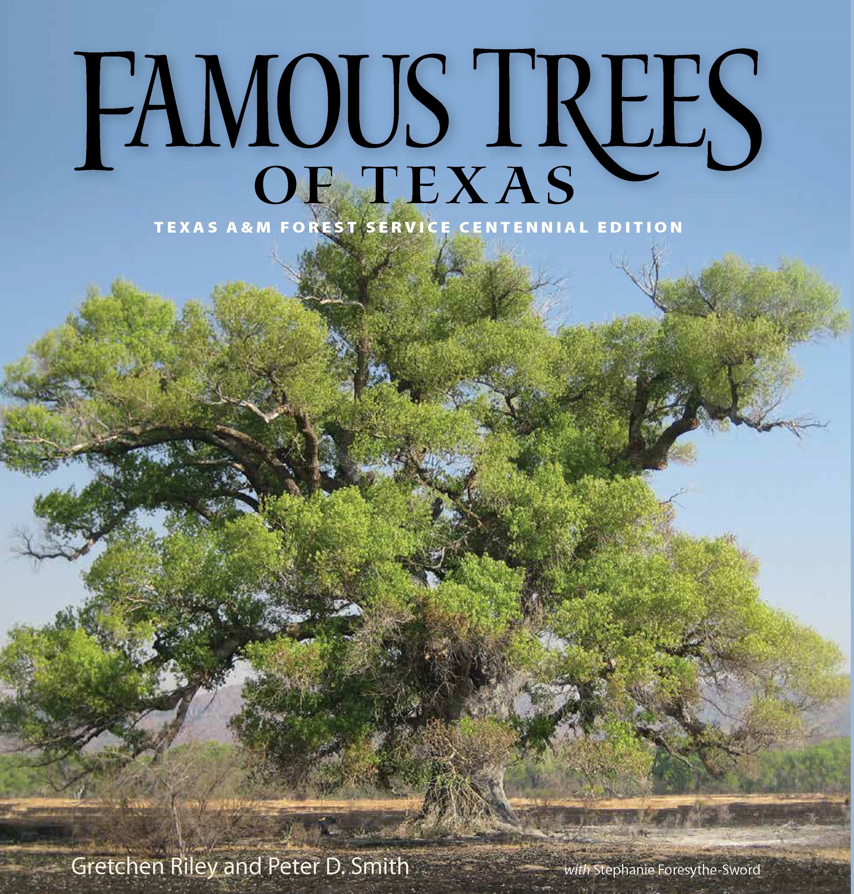 Famous Trees of Texas